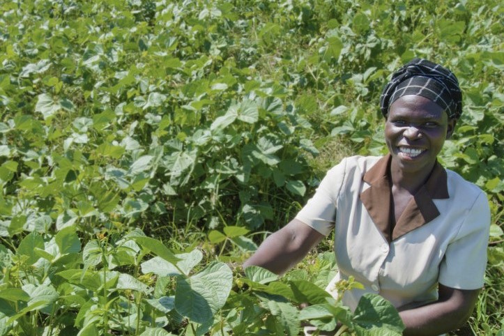woman farmer in crops